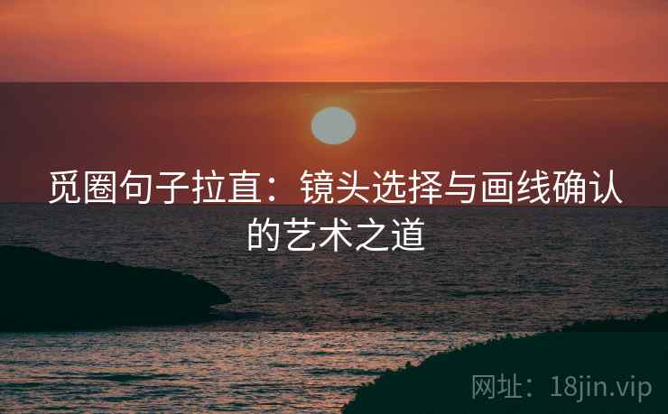 觅圈句子拉直：镜头选择与画线确认的艺术之道